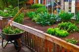 Zicht op een tuin, een kruiwagen ernaast met wat planten erin.
